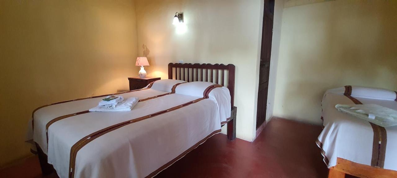 Hotel & Restaurante Arca De Noe Santa Cruz La Laguna Exteriör bild