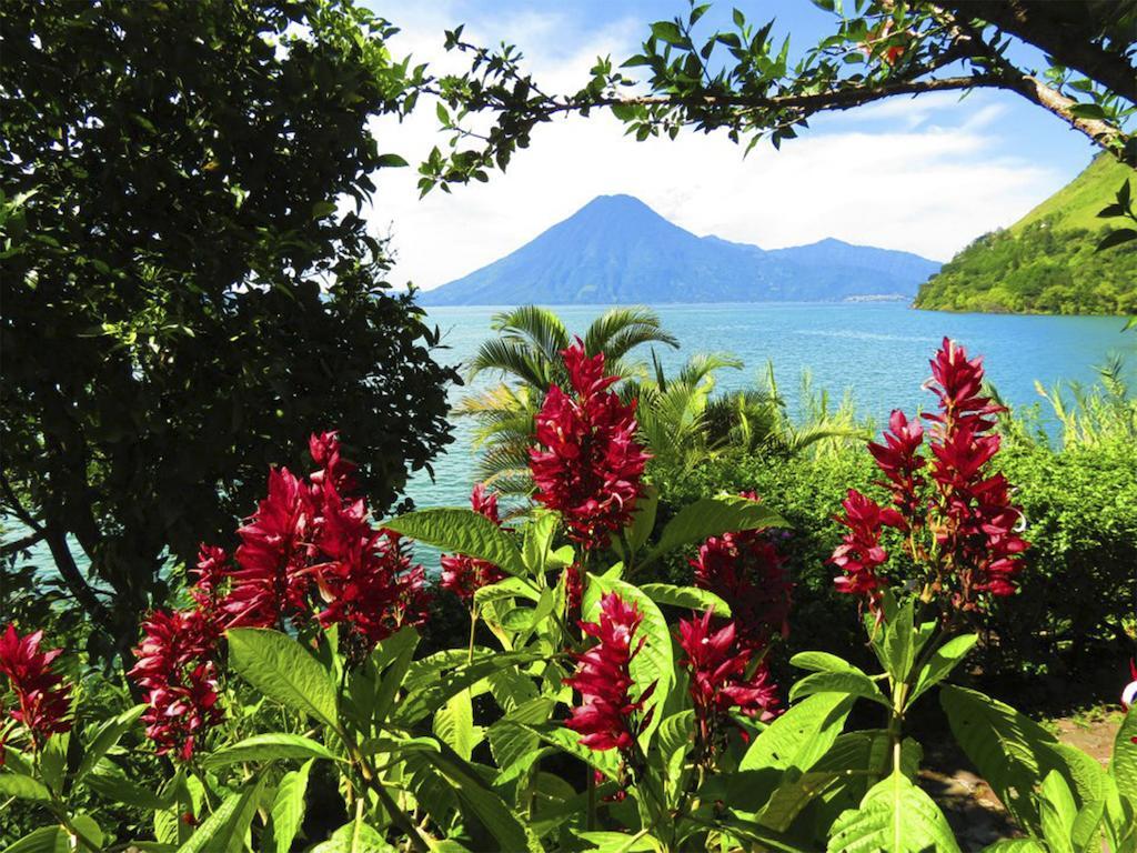 Hotel & Restaurante Arca De Noe Santa Cruz La Laguna Rum bild